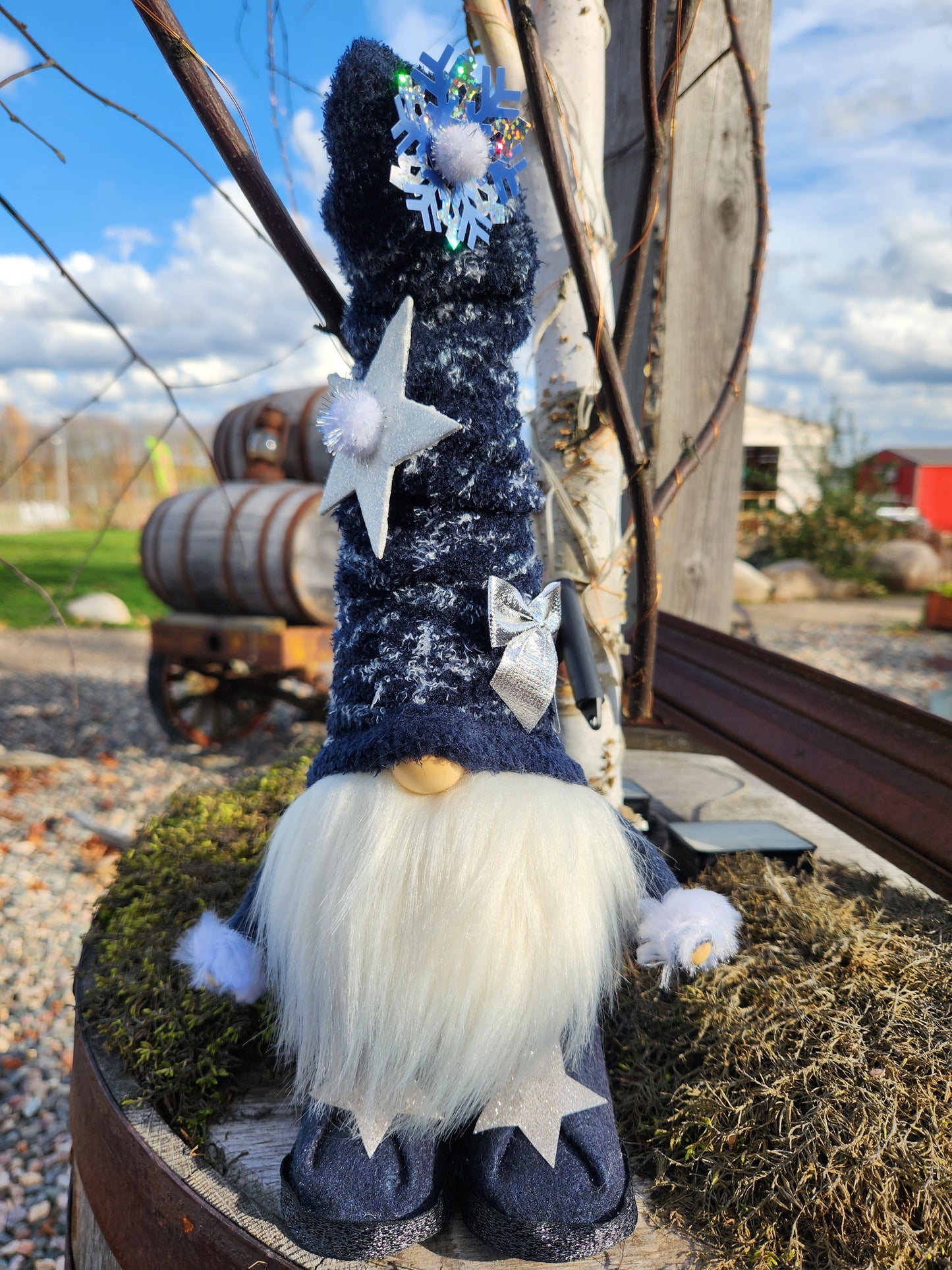 Winter Gnomes
