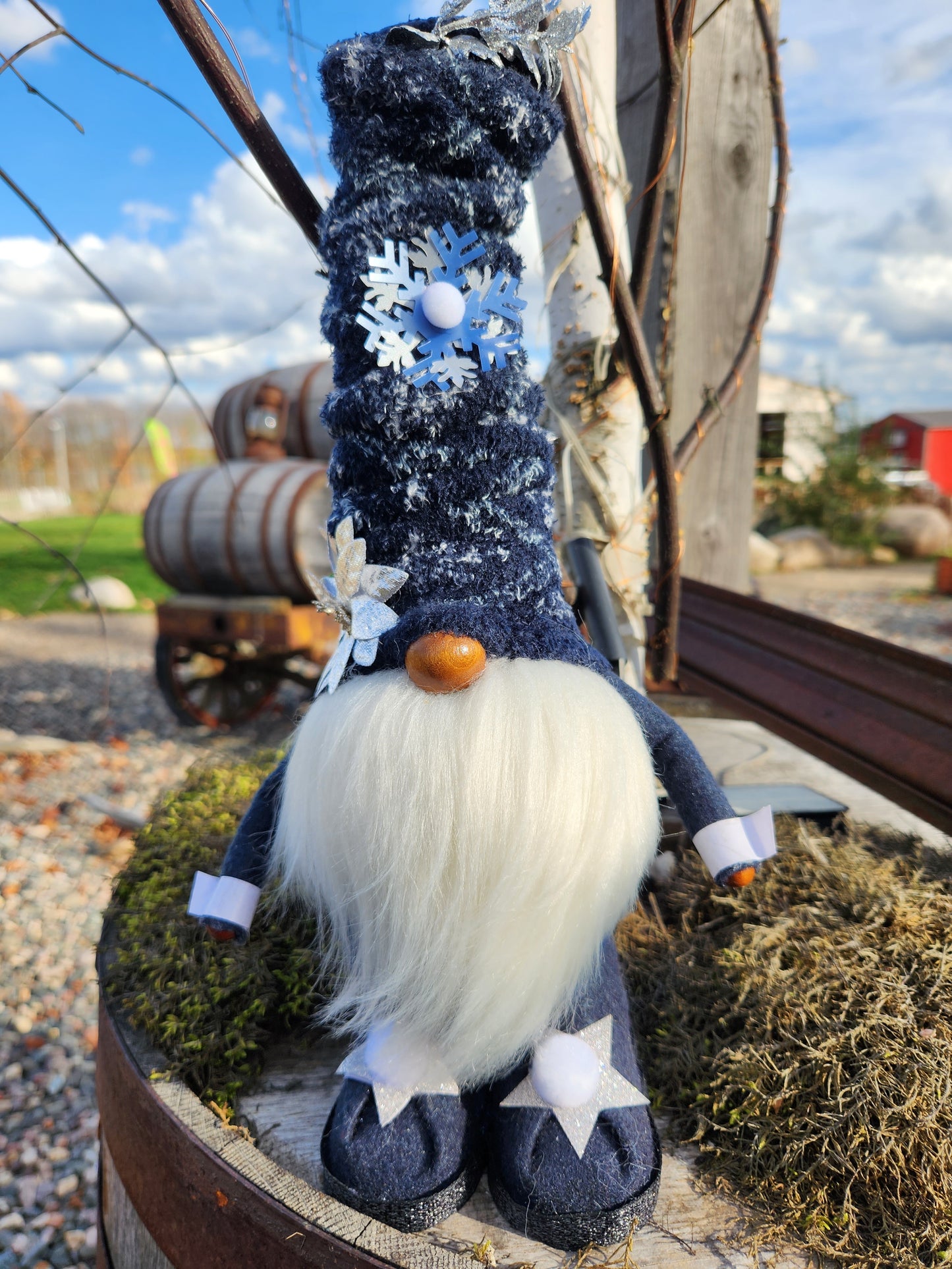 Winter Gnomes