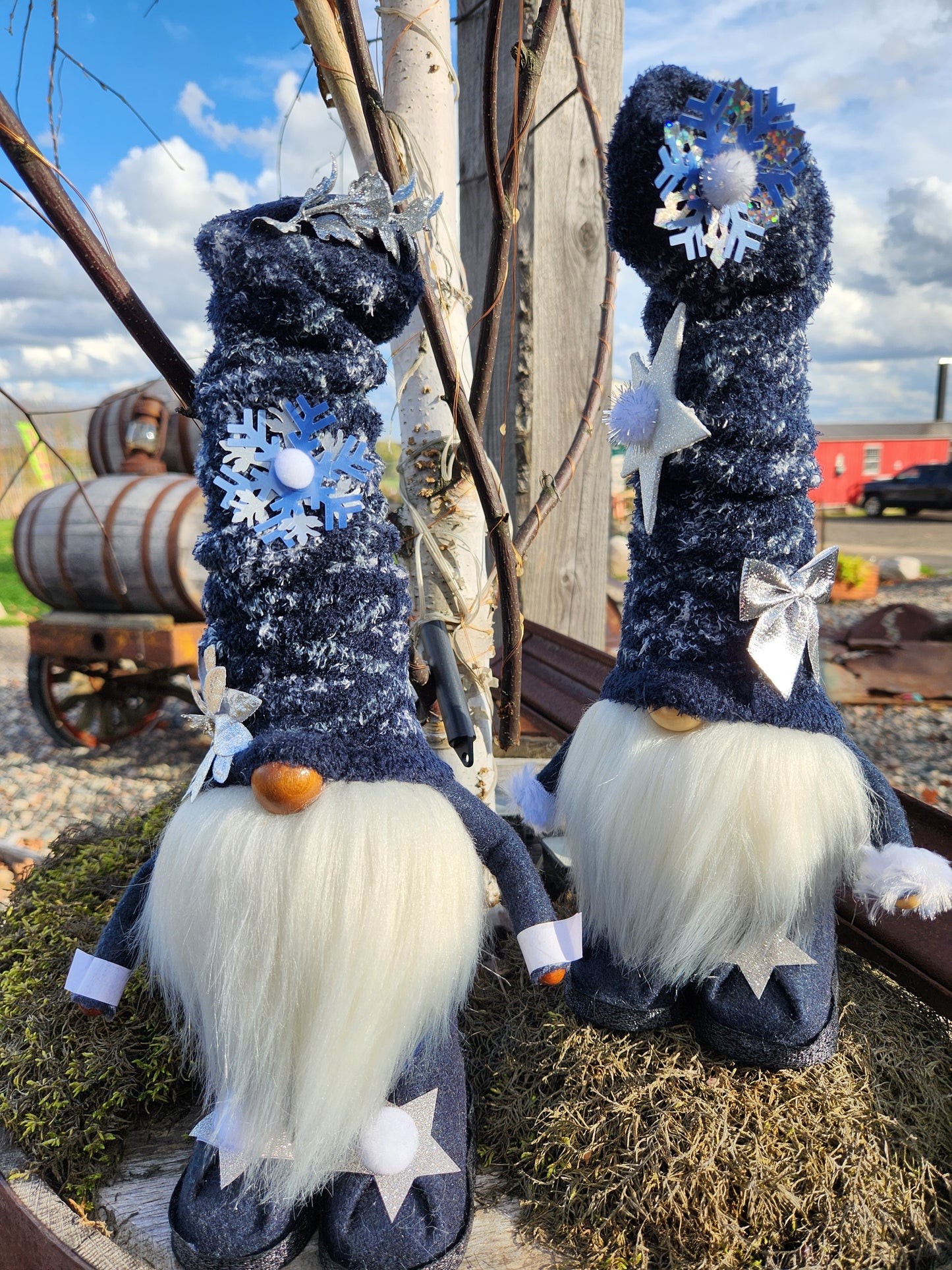 Winter Gnomes