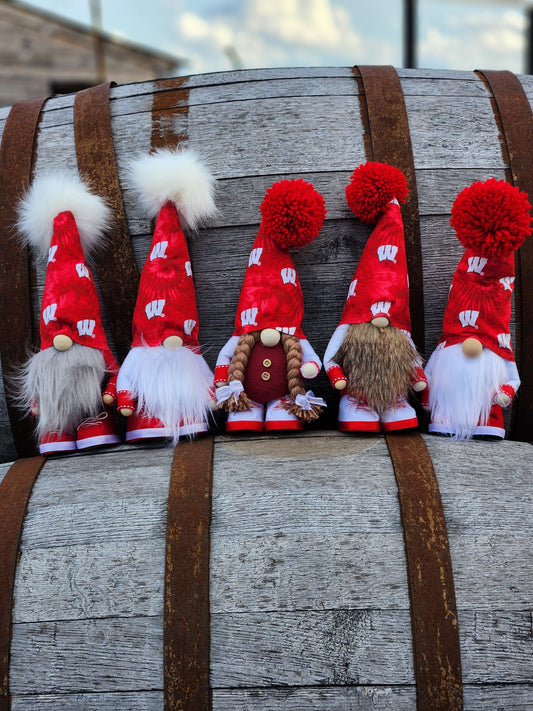Wisconsin Badger Gnomes