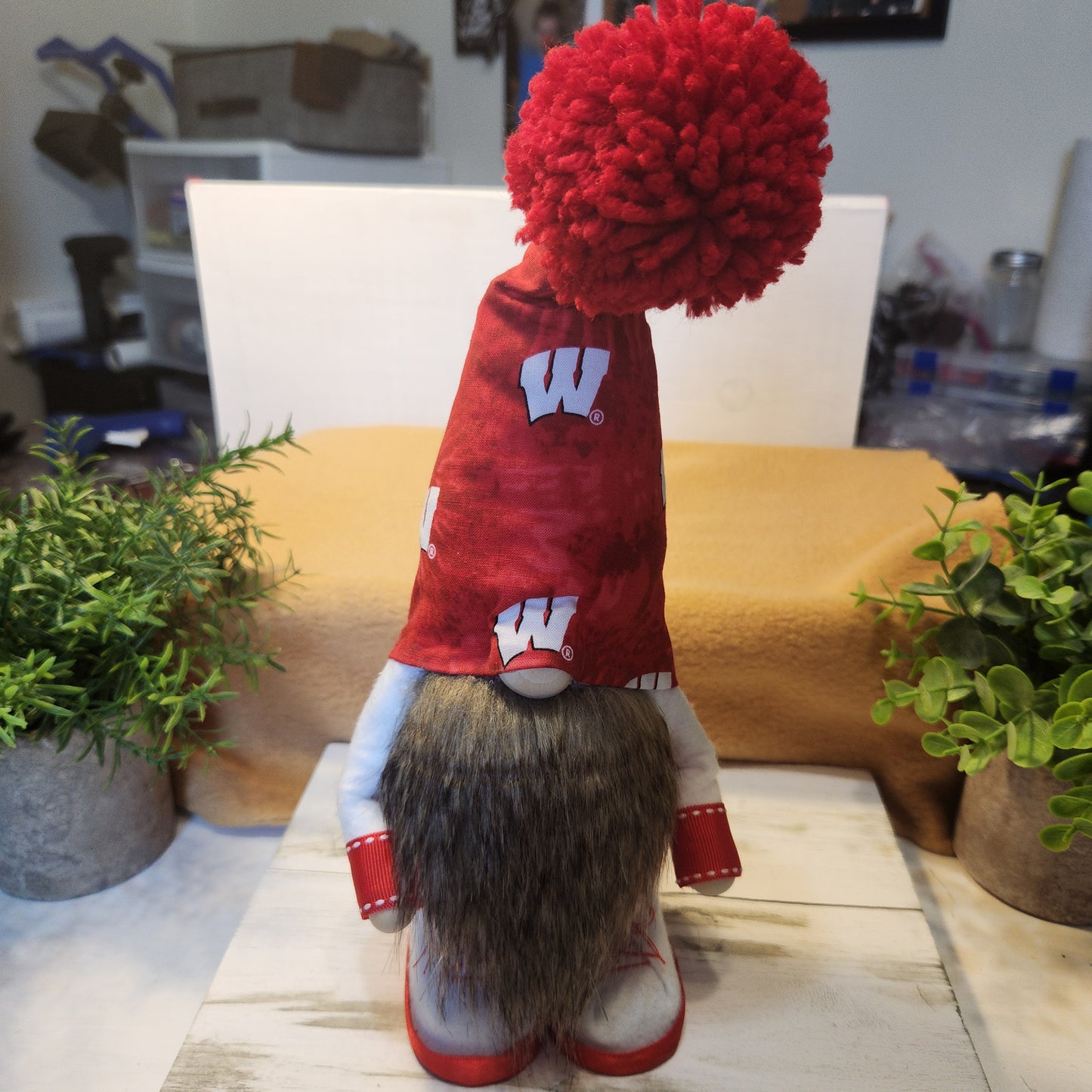 Wisconsin Badger Gnomes